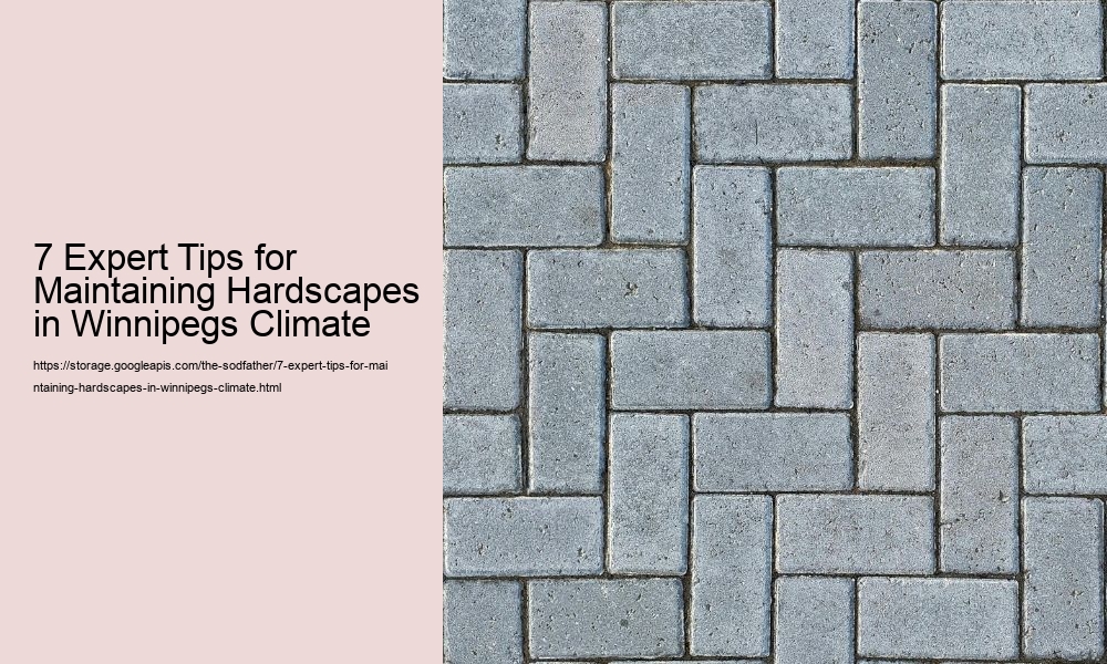 7 Expert Tips for Maintaining Hardscapes in Winnipegs Climate