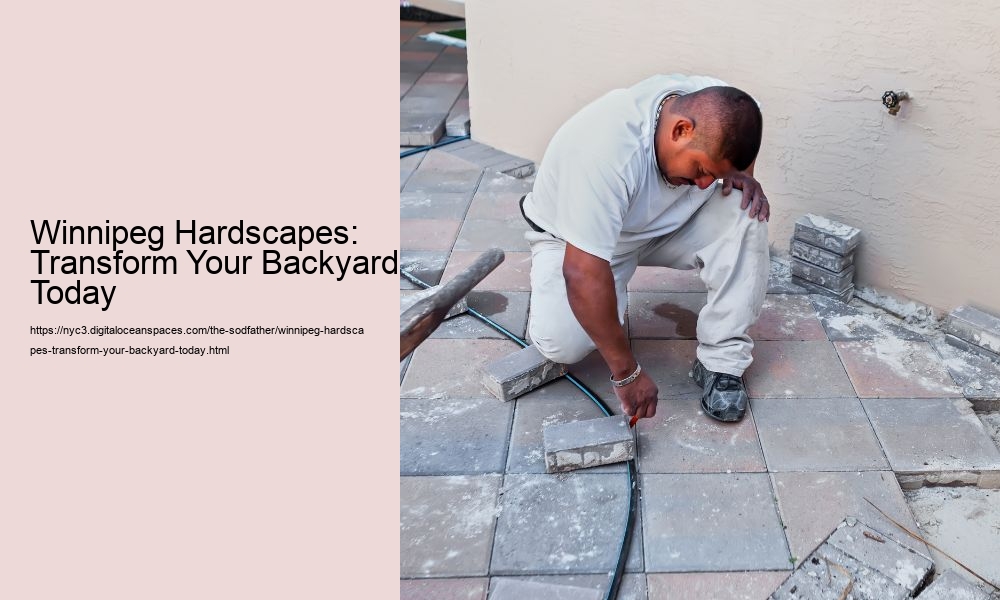 Winnipeg Hardscapes: Transform Your Backyard Today
